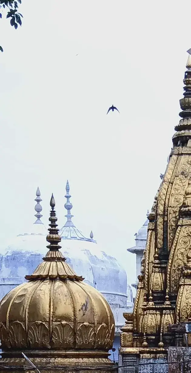 Kashi Vishwanath Temple